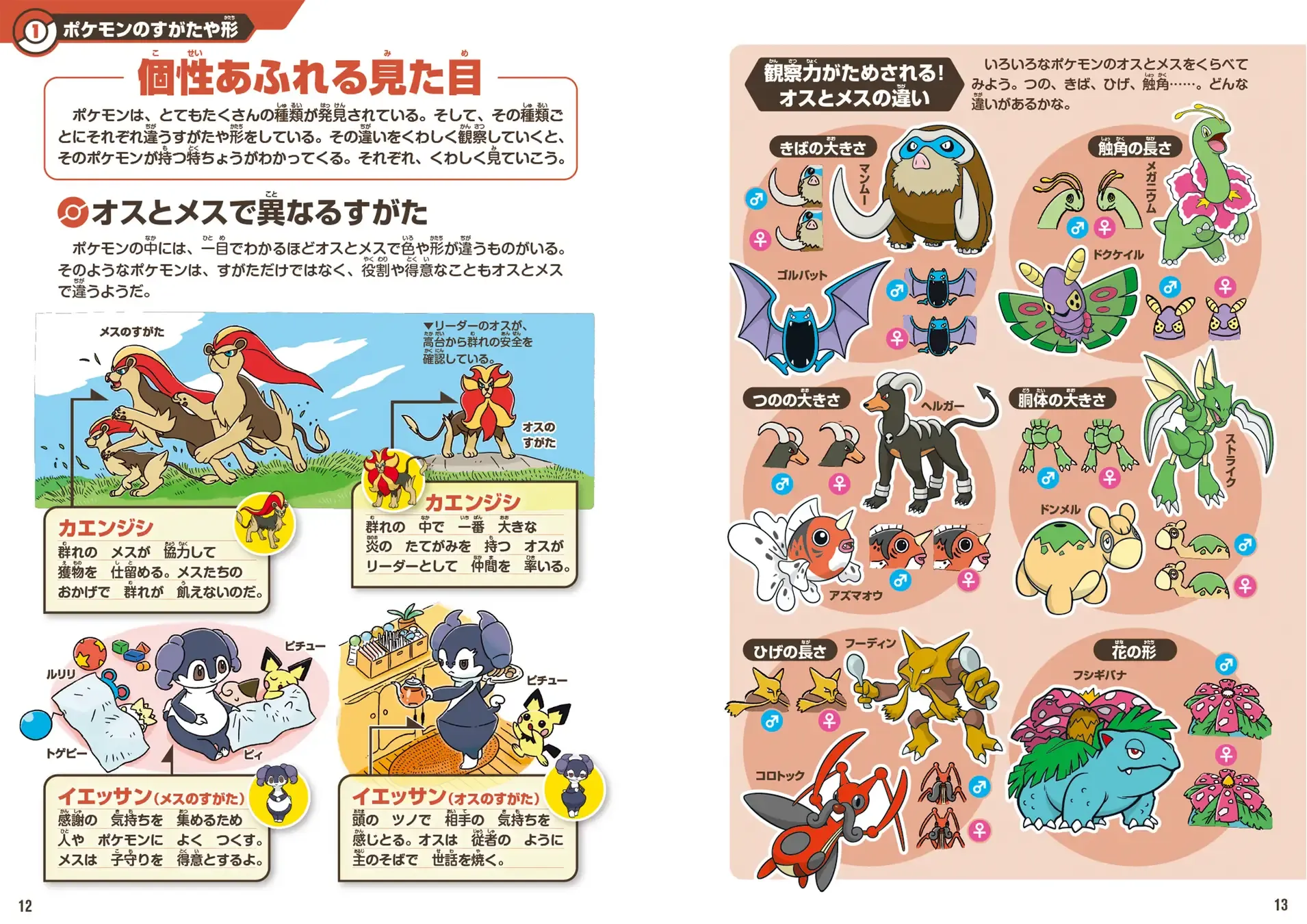 13640-3201-5ff39e343fce9468a6ac402993c403d4-3508x2480.webp